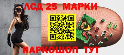 амф Коммунар