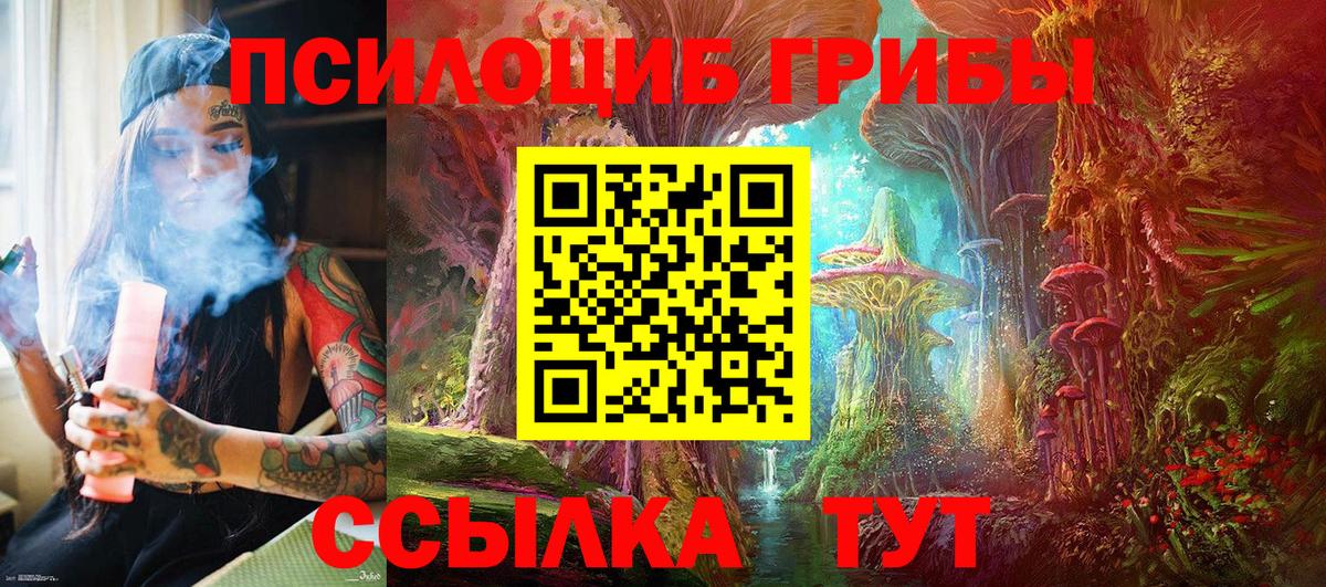Красноармейск  Галлюциногенные грибы Psilocybine cubensis  Вход с VPN 